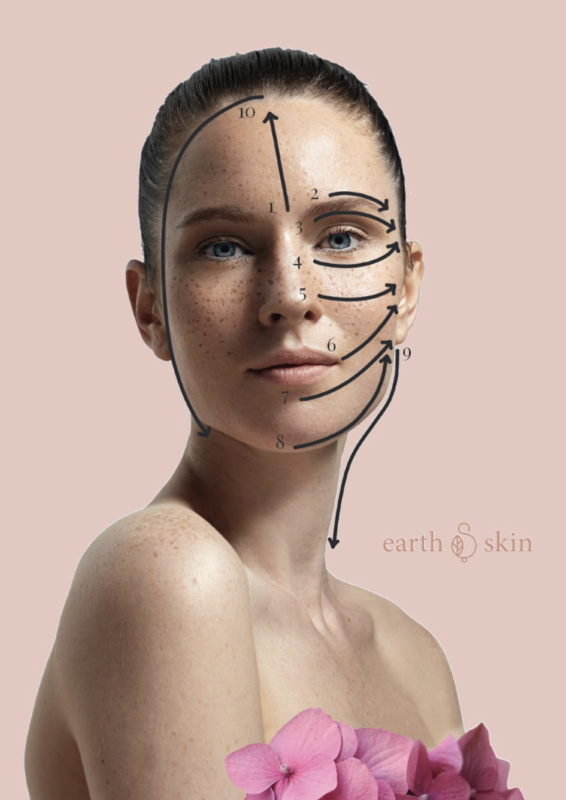 Outline of where to use a Gua Sha on the face and neck.