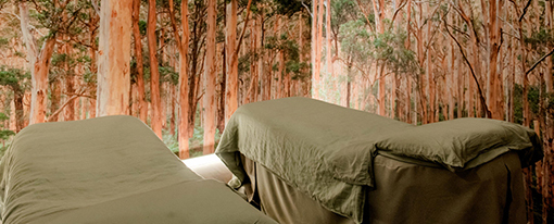 Earth And Skin Room Set Up For Couples Spa Packages On The Gold Coast 510x206